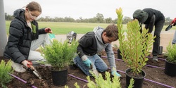 Banner image for Victoria Park/Pakapakanthi Tree Planting Day 