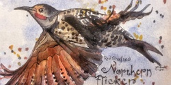 Banner image for DLC Watercolor Class- Woodpeckers