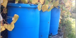 Banner image for Introduction to Rainwater Harvesting with Laurie Dee - online video