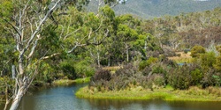 Banner image for TLC Volunteering - Weeding at Prosser River Reserve
