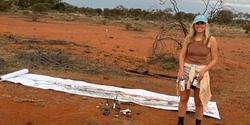 Banner image for From Wooleen to Wagga Wagga
