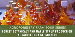 Banner image for Forest Botanicals and Maple Syrup Production at Laurel Fork Sapsuckers