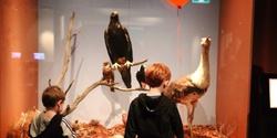 Banner image for Winging It at the Museum: School Holiday Program