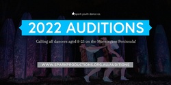 Banner image for 2022 Auditions - Spark Youth Dance Company