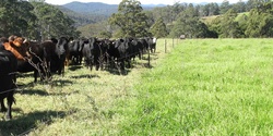 Banner image for Reboot your grazing: Online Course August 2023