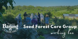 Banner image for Barung Seed Forest Care Group - Working Bee