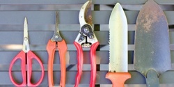 Banner image for Tool care workshop with Rod