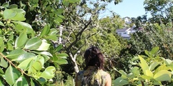 Banner image for Organic Gardening Basics - Fruit Trees & Pruning