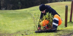 Banner image for Launch: SBN’s Nature Regeneration Programme and report