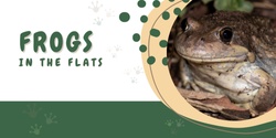 Banner image for Frogs in the flats