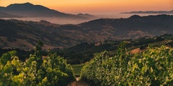 Banner image for Californian Wines: A Masterclass [SA]