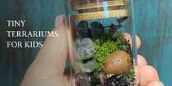 Banner image for Tiny Terrariums for Kids