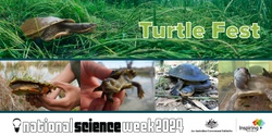 Banner image for Turtle Fest