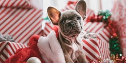 Banner image for The Square Mirrabooka Santa Pet Photography
