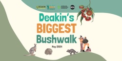 Banner image for Australia's Biggest Bushwalk Gardiners Creek Circut Trail