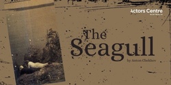 Banner image for ACA Presents : The Seagull