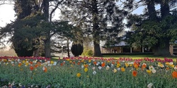 Banner image for Free Tour: Lanyon Homestead Gardens