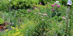 Banner image for Garden Design