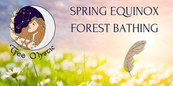 Banner image for Spring Equinox Forest Bathing Immersion