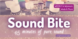 Banner image for Sound Bite - 45 minute lunch time sound bath