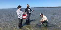 Banner image for Shorebird Food Monitoring Program Information Session 