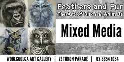 Banner image for Feathers and Fur in Mixed Media Class with Julianne Gosper (8 weeks)