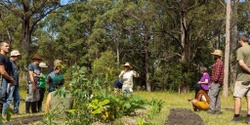 Banner image for Food Forest / Syntropic Agroforestry with Syntropic Solutions at Chaffin Creek Farm 