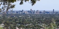 Green Adelaide's banner