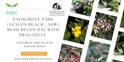 Banner image for Palmgrove Park bush regen day with Dragonfly 