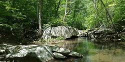 Banner image for Natural Communion Forest Cathedral Earth Church Experience @ Earthwalk Ways 