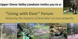 Banner image for Living with Deer Forum