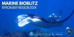 Banner image for Marine Bioblitz - Byron Bay Region