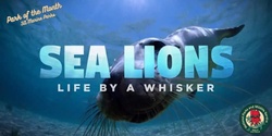 Banner image for 'Sea Lions: Life By a Whisker' Movie Screening