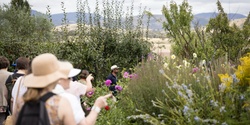 Banner image for FREE TOUR: A Garden Through Time With Lanyon’s Head Gardener - HDO '24