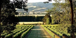 Banner image for The Rees Culinary Series with Billecart Salmon Champagne and Mountford Estate Wines