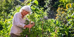 Banner image for Introduction to the Permaculture approach to design your garden and personal life