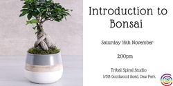 Banner image for Introduction to Bonsai