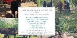 Banner image for Meditation, Mindfulness & Chai with Heart of the Horse 13 March 2022