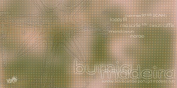 Banner image for Burnia Madeira 
