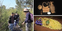 Banner image for Guided Bush Tucker Walk