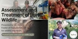 Banner image for Assessment and Treatment of Burnt Wildlife presented by Dr. Anne Fowler