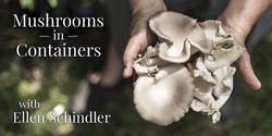 Banner image for Mushrooms in Containers 101, with Ellen Schindler