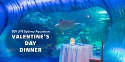 Banner image for Valentine's Day - SEA LIFE Sydney Aquarium