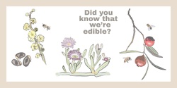 Banner image for An Exploration of Native South Australian Edible Flora