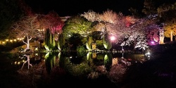 Banner image for Blossom Valley After Dark - Saturday 1 Oct