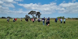 Banner image for Soil Management & Plant Nutrition with Joel Williams