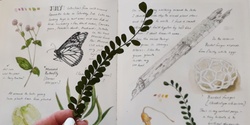 Banner image for Nature Journaling Weekend Workshop  - with Dr Tabatha Forbes