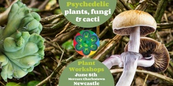 Banner image for Psychedelic trees, fungi and cacti workshops, Newcastle