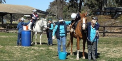 Banner image for FAMILY CHARITY BINGO for RDA(NSW) Tall Timbers Centre