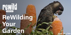 Banner image for ReWilding your garden - short talks at Zanthorrea Nursery